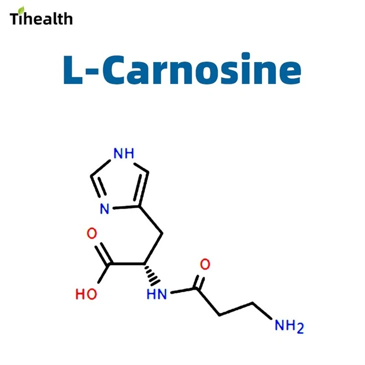 L-Carnosine 1